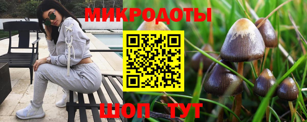 Галлюциногенные грибы прущие грибы Кировск