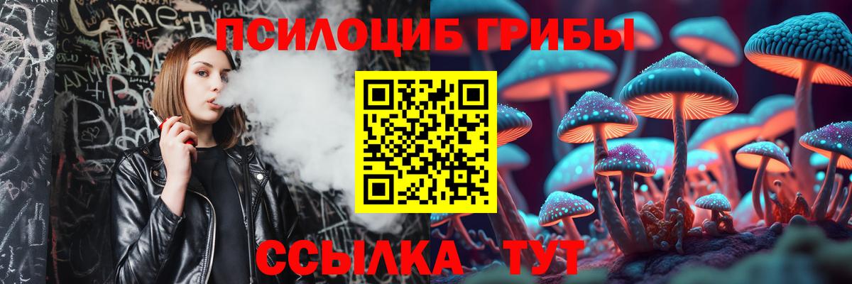 Кировск  Галлюциногенные грибы MAGIC MUSHROOMS  Вход с VPN 